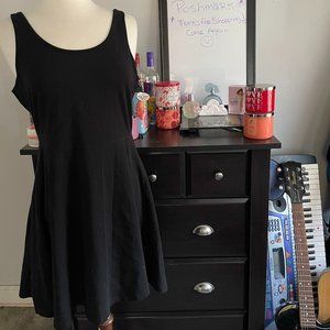 Express Skater Dress